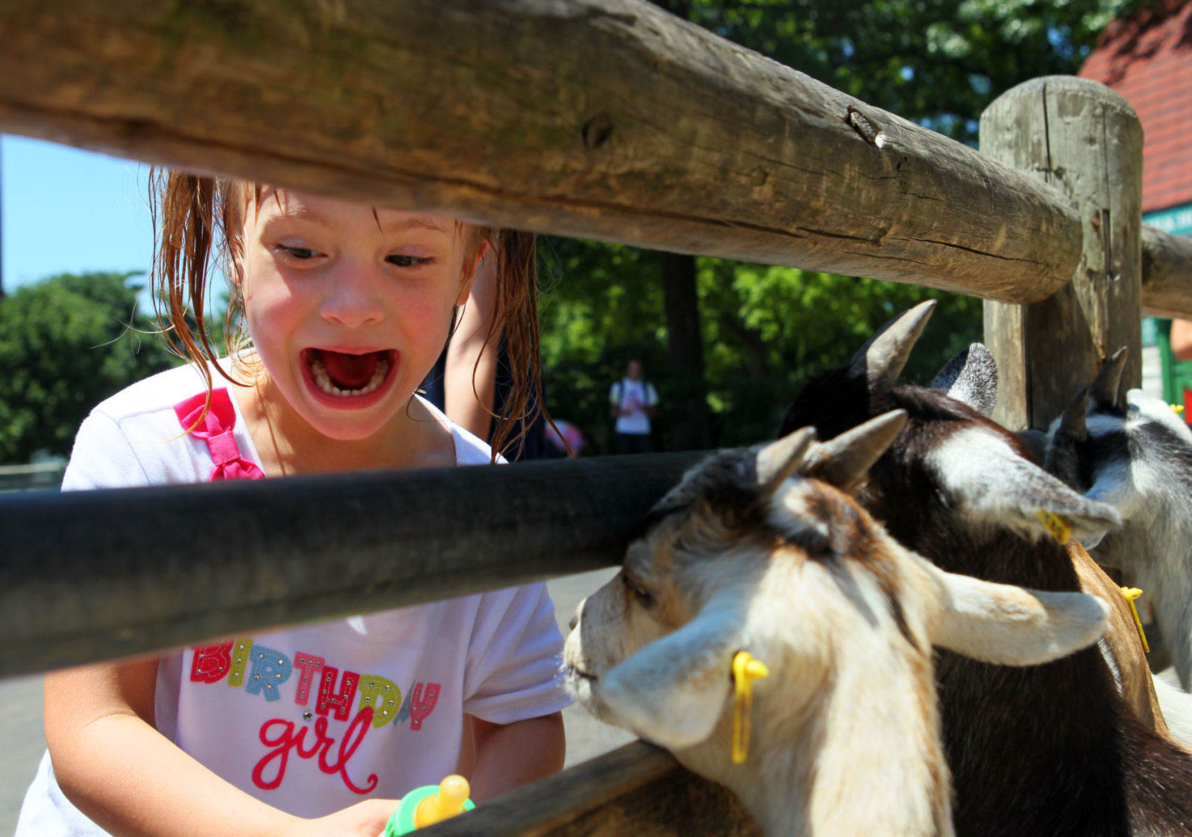 Grant's Farm Family Day